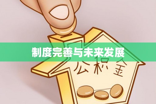 大厂制度完善与未来发展