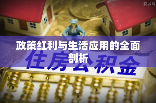 大厂政策红利与生活应用的全面剖析