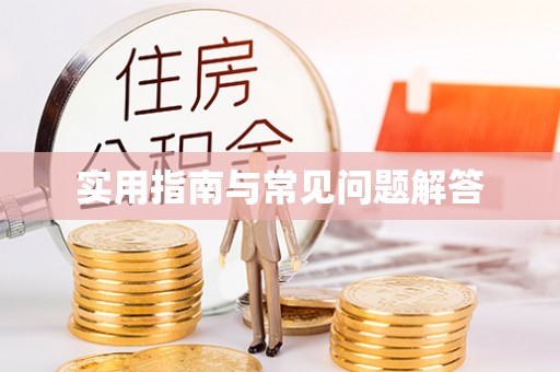 大厂实用指南与常见问题解答