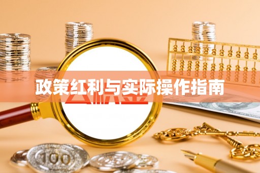 大厂政策红利与实际操作指南