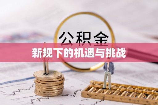 大厂新规下的机遇与挑战