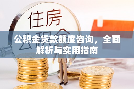 大厂公积金贷款额度咨询，全面解析与实用指南