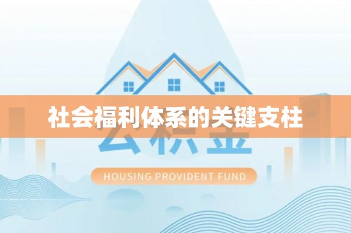 大厂社会福利体系的关键支柱