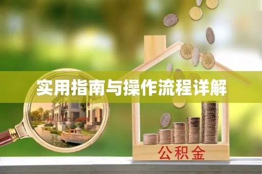 大厂实用指南与操作流程详解