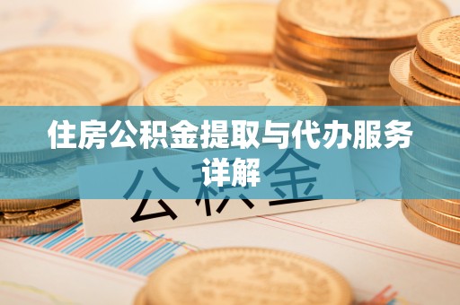 大厂住房公积金提取与代办服务详解