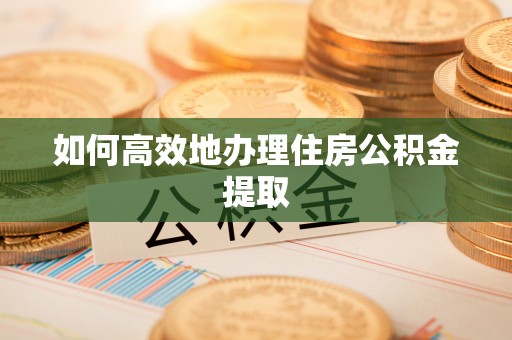 大厂如何高效地办理住房公积金提取