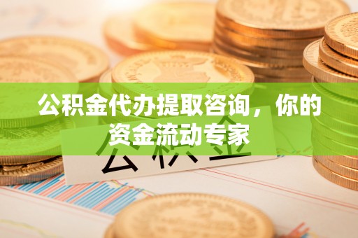 大厂公积金代办提取咨询，你的资金流动专家