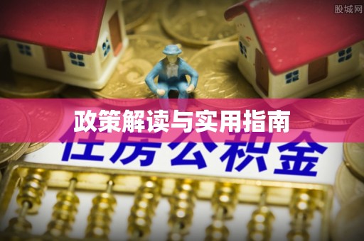 大厂政策解读与实用指南