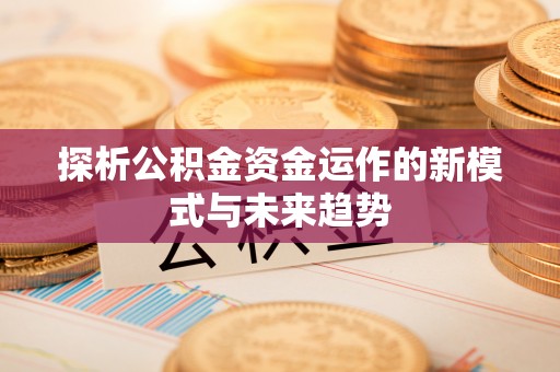 大厂探析公积金资金运作的新模式与未来趋势
