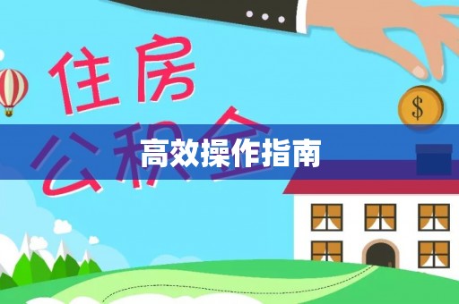 大厂高效操作指南