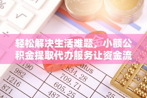 大厂轻松解决生活难题，小额公积金提取代办服务让资金流动更便捷