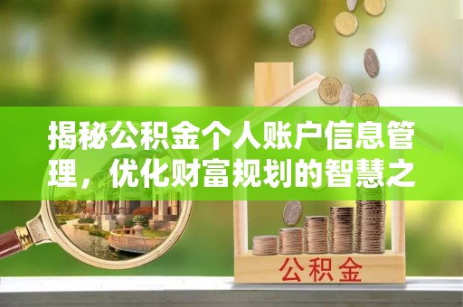 大厂揭秘公积金个人账户信息管理，优化财富规划的智慧之选