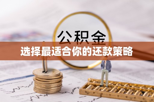 大厂选择最适合你的还款策略