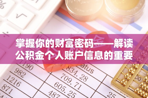 大厂掌握你的财富密码——解读公积金个人账户信息的重要性