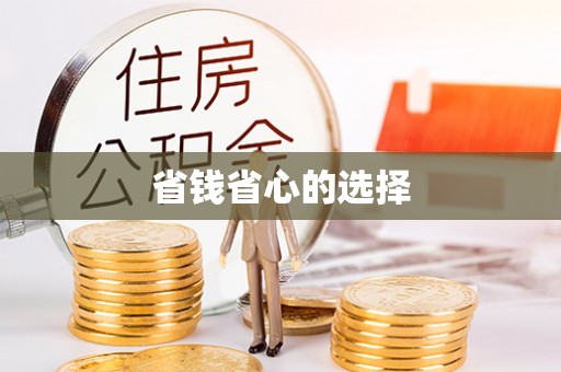 大厂省钱省心的选择
