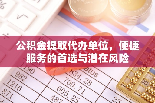 大厂公积金提取代办单位，便捷服务的首选与潜在风险