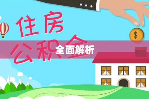 大厂全面解析