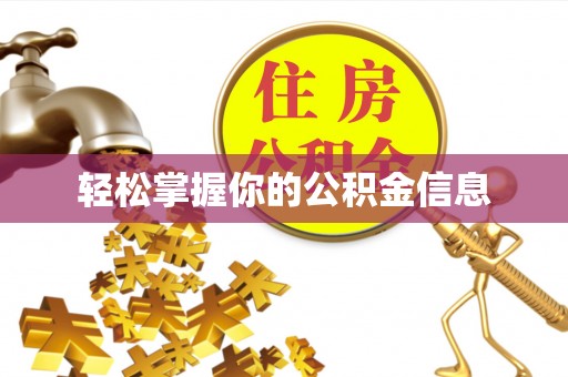 大厂轻松掌握你的公积金信息