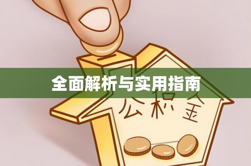 大厂全面解析与实用指南