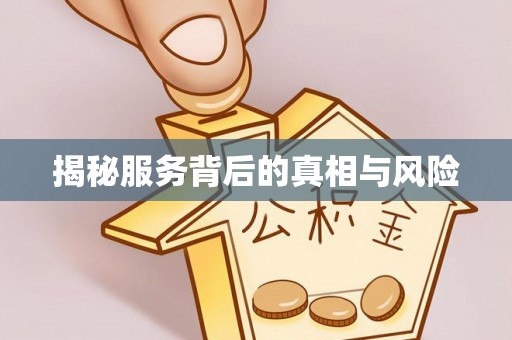 大厂揭秘服务背后的真相与风险